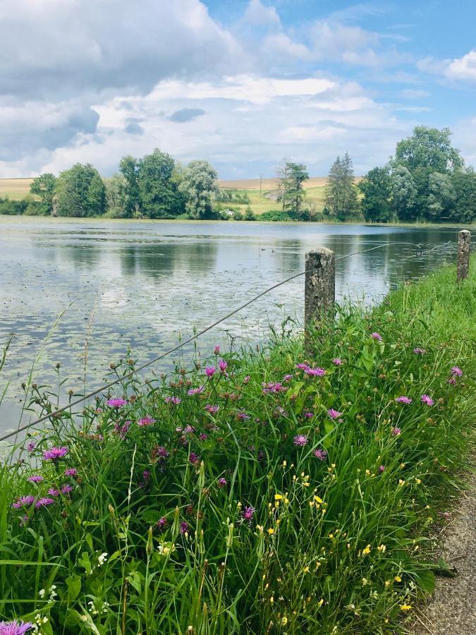 L'Echappee Ardennaise - Gite 6 Places Tout Confort Semuy Luaran gambar